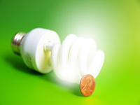 Dossier éclairage écologique : les ampoules écologiques